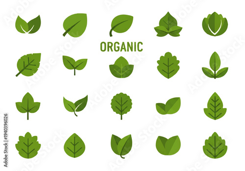 A flat design illustration vector featuring twelve different green leaves with black outlines on a white background.