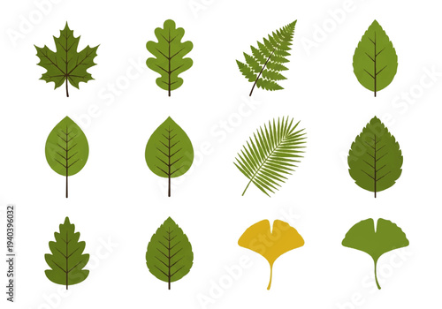 A flat design illustration vector featuring twelve different green leaves with black outlines on a white background.