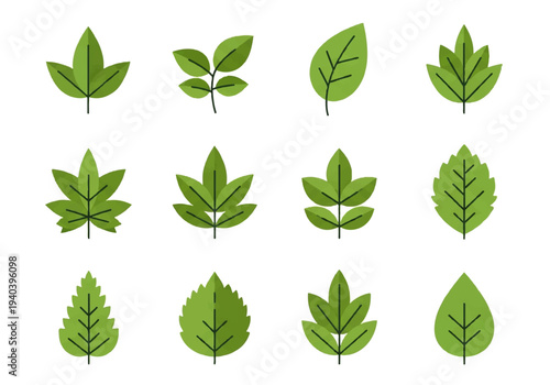 A flat design illustration vector featuring twelve different green leaves with black outlines on a white background.