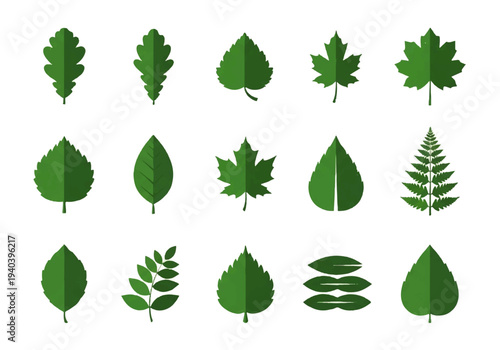 A flat design illustration vector featuring twelve different green leaves with black outlines on a white background.