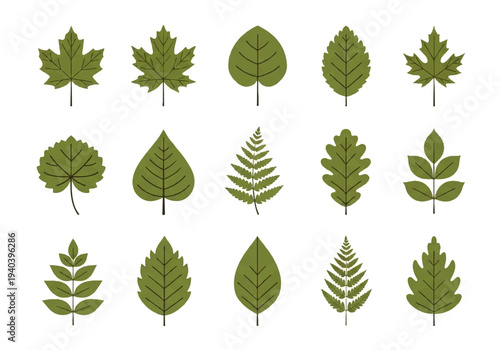 A flat design illustration vector featuring twelve different green leaves with black outlines on a white background.