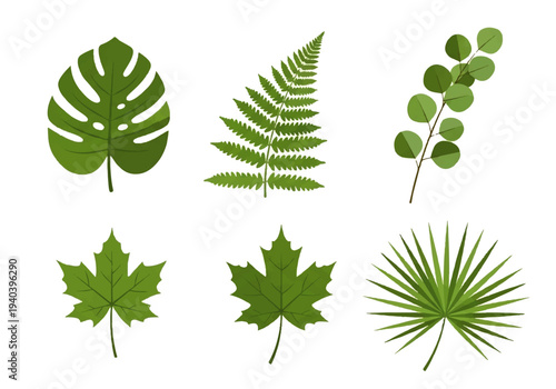 A flat design illustration vector featuring twelve different green leaves with black outlines on a white background.