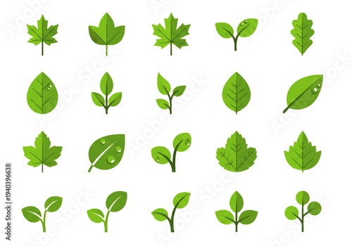 A flat design illustration vector featuring twelve different green leaves with black outlines on a white background.