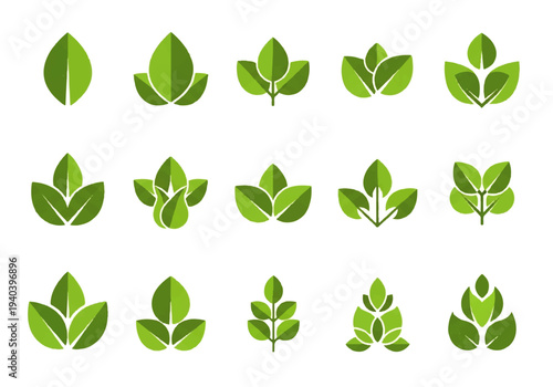 A flat design illustration vector featuring twelve different green leaves with black outlines on a white background.