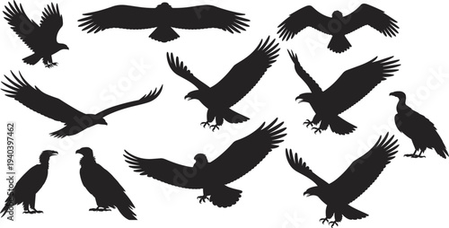 Assortment of black eagle and vulture silhouettes in flight and perched poses bird animal