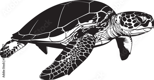 Detailed black and white sea turtle vector illustration, showcasing a realistic swimming marine animal with intricate shell and flipper textures, ideal for ocean conservation, wildlife