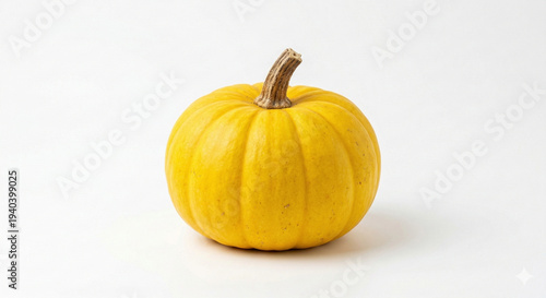 pumpkin on a background