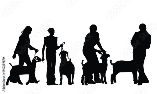 silhouette of goat boer show livestock show