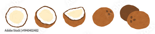 Coconut isolated vector clipart set on white background, summer fruit illustration, tropical decor, island vibe, beach party.