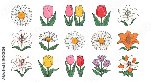 Vibrant Spring Flowers Isolated on White Background