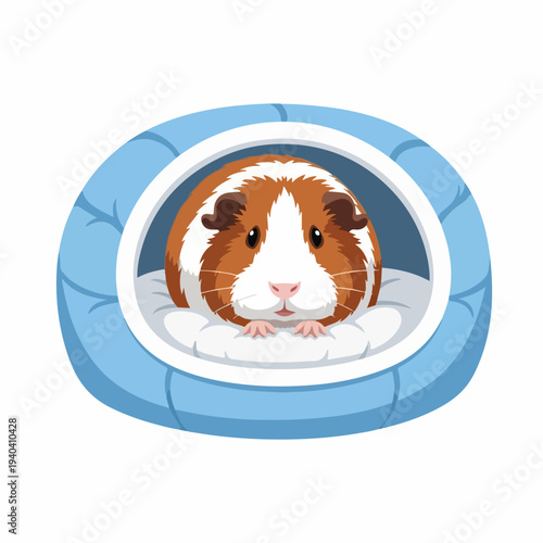 Cute guinea pig in cozy bed with blue cushion and soft lining. Adorable guinea pig rests inside comfortable pet bed, highlighting animal's fur and serene expression.