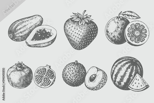 Vintage Berries and fruits drawing collection. Hand drawn pomegranate, papaya, strawberry, Watermelon, lychee, guava vector illustration. Retro engraving style