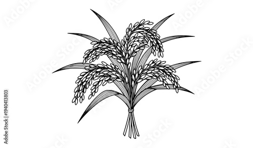 Rice paddy bundle black and white vector illustration agricultural grain harvest symbol isolated