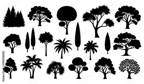 Minimal tree and plant silhouette collection vector nature botanical shapes isolated on white