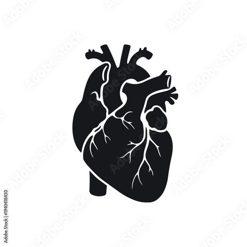 Human Heart Anatomy Silhouette Vector - Medical Cardiology Organ Icon