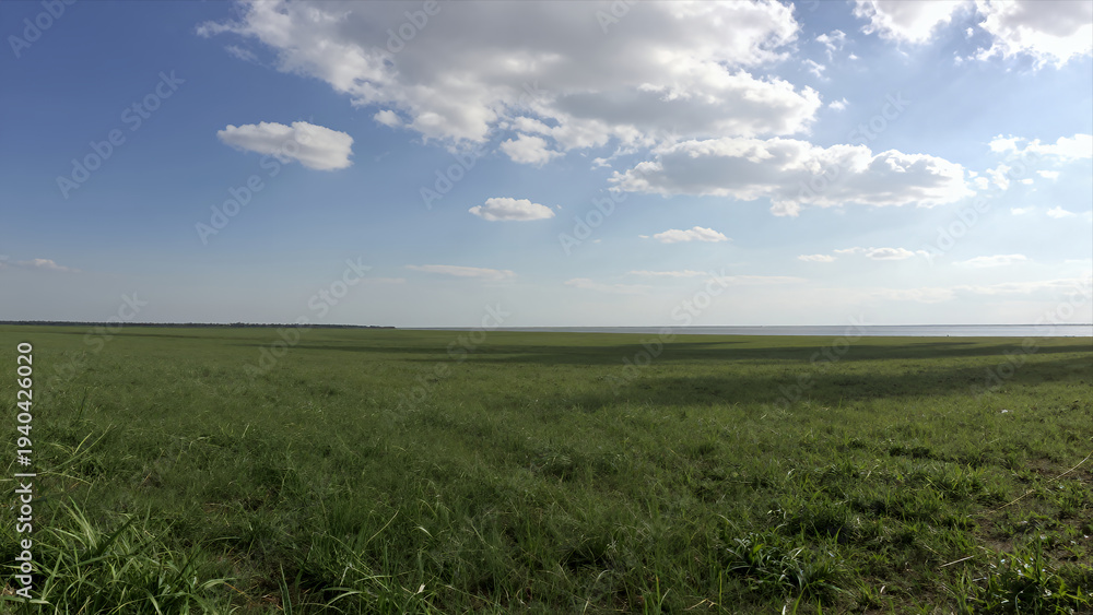 Obraz premium Expansive Green Grassland under Bright Blue Sky with Scattered White Clouds Wide Open Natural Landscape for Travel or Environmental Projects