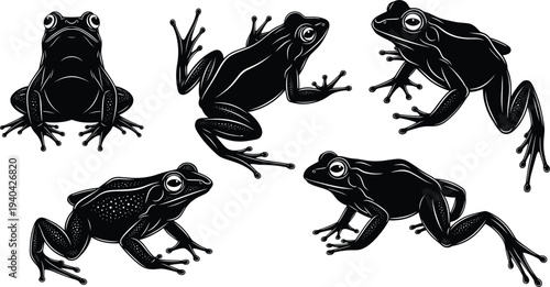 Collection of Five Black Frogs in Various Poses on White Background Keywords: frog, amphibian, animal, wildlife, nature