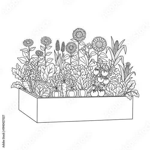 Raised Garden Bed Filled with Diverse Vegetables and Flowers, Line Art Illustration