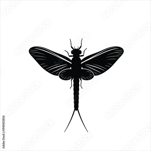 Mayfly insect silhouette vector illustration with long tail art