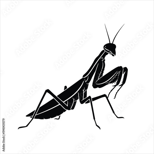 Praying mantis insect silhouette vector art on white background