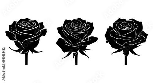 Roses black silhouette set with white line details and stems featuring flowers, floral, bouquet with graphic and