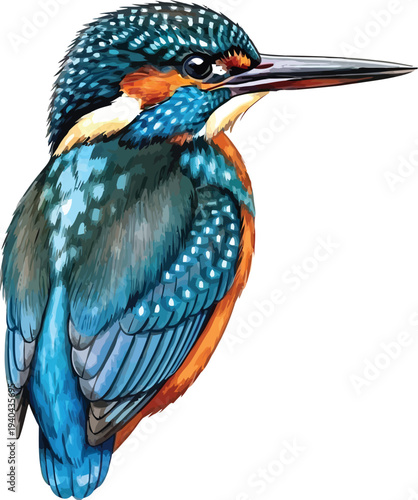 A colorful kingfisher bird with vibrant blue and orange feathers perched on a branch