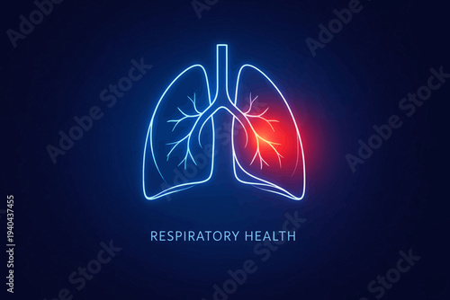 Illustration of human lungs with a highlighted area indicating respiratory health issues from a front view