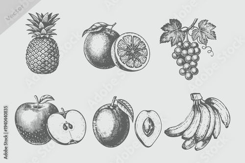 Hand drawn fruit Mango, apple, banana, pineapple, grapes, orange collection, vintage engraving style fruits and berries set, vector illustration