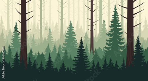 Misty Forest Landscape with Tall Trees.