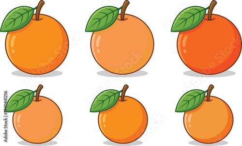 Cute orange fruit illustration set with fresh citrus icons and green leaves in cartoon style for food design