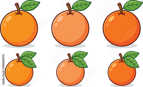 Fresh orange fruit cartoon icon collection with citrus illustrations and green leaves for healthy food design
