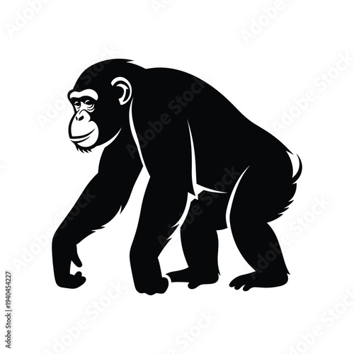 Black silhouette of a chimpanzee on white