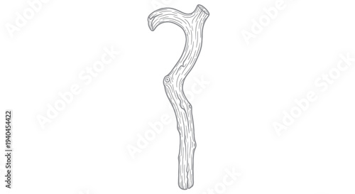 Detailed Drawing of a Walking Stick.