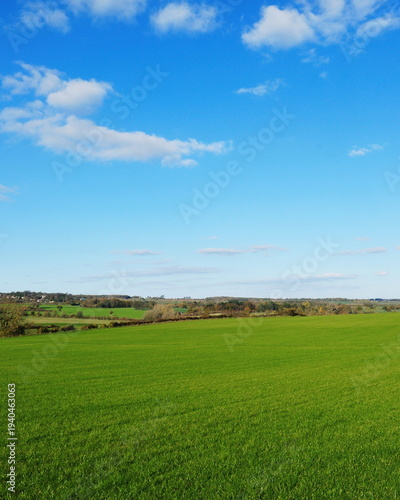 Lush green field and vivid blue sky in the countryside