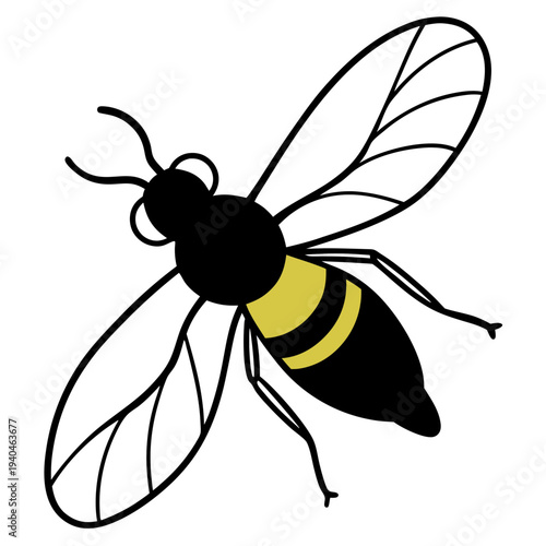 Golden dung fly insect isolated on white background vector illustration