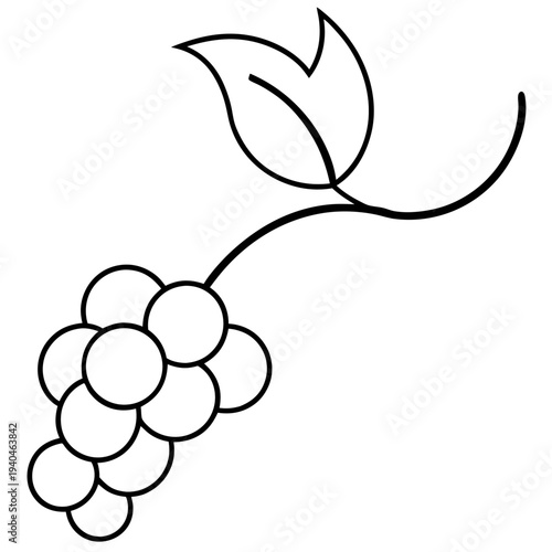White grape cluster illustration minimalist vine leaf design