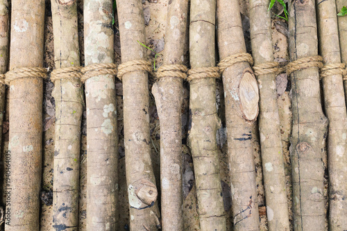 Small wooden stick from rubber tree