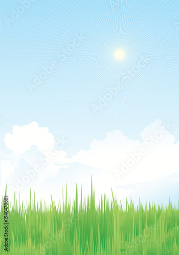 Green Grass Field Landscape with Sun Rays Blue Sky Nature Background