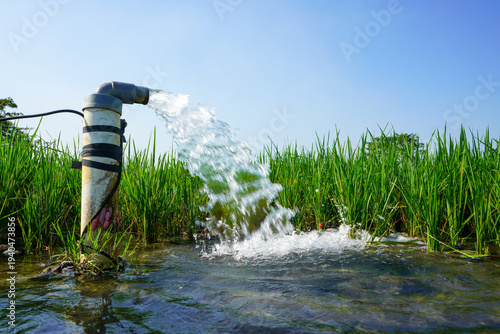 Photos Irrigation Pipe Gushing Clear Water into Lush Green Rice Field on Sunny Day