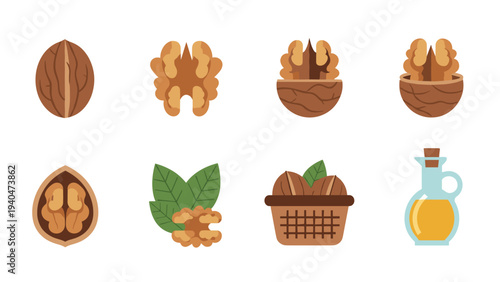 Collection of walnuts and walnut items in flat design including oil and basket