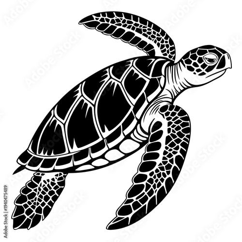 Majestic sea turtle swimming in ocean depths with powerful flippers