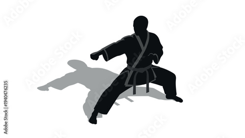 Karate silhouette practicing martial arts with dynamic pose and shadow on white background
