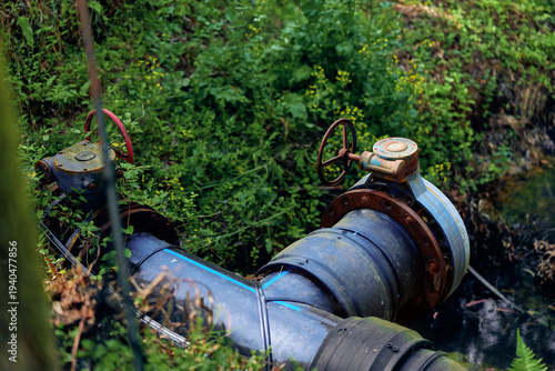 Quadro su tela Pipe valve and water line with rust and moss surrounded by outdoor vegetation, metal flange and wheel handle on corroded irrigation or drainage conduit in green wetland setting