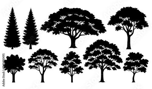 Various tree silhouettes vector set with mixed deciduous and conifer tree shapes isolated on white background
