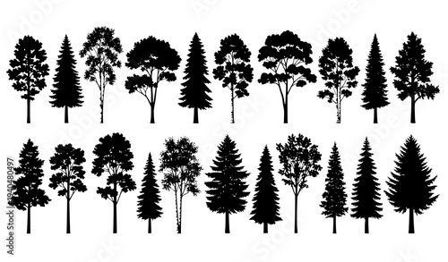 Tree vector silhouette collection with various forest tree types and canopy shapes isolated on white background