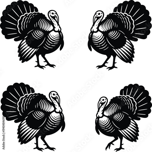 Turkey bird vintage engraving vector illustration set, detailed wild turkey silhouettes, farm poultry animal design isolated decorative wildlife icons
