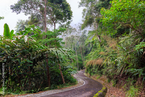 Winding road through tropical forest in Fraser Hill, Malaysia