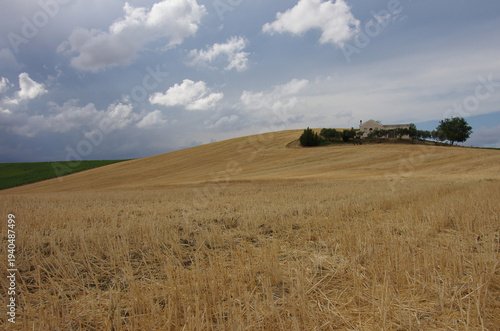 Foto In the Molise countryside during the wheat harvest, the ground is prepared to remove weeds