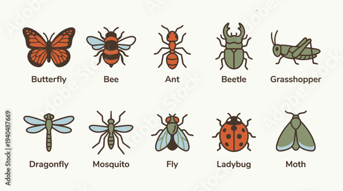 Collection of various insects including butterfly, bee, ant, beetle, and grasshopper displayed together in a grid layout