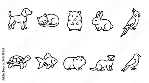 Line art illustration of various animals including dog, cat, rabbit, and birds in a minimalist style